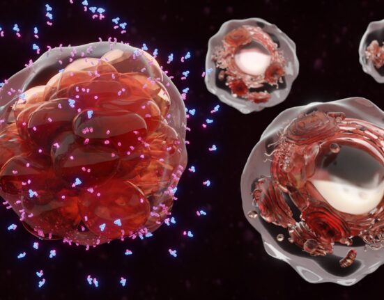Bispecific antibody