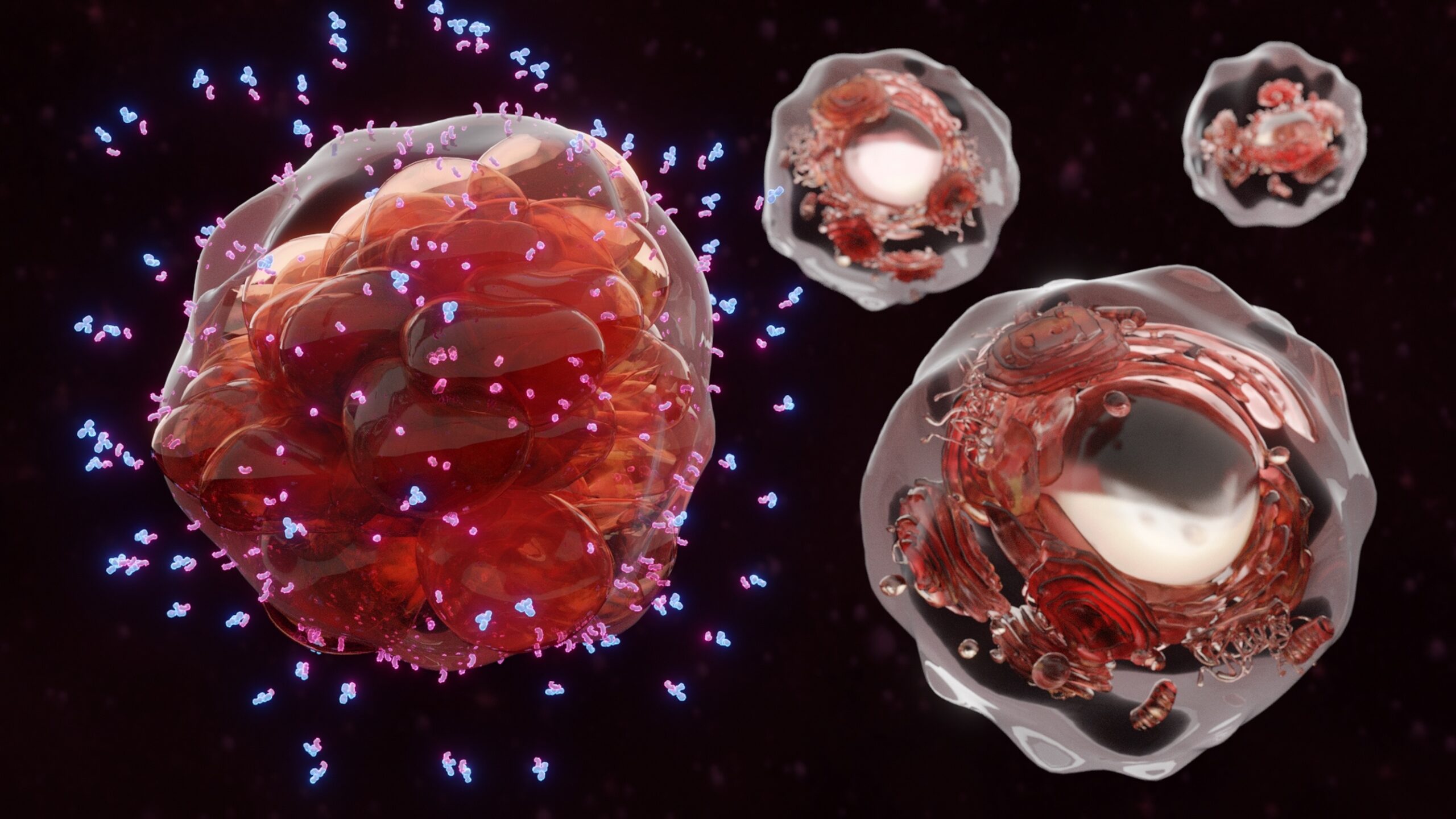 Bispecific antibody