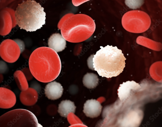 Leukemia cells and red blood cells