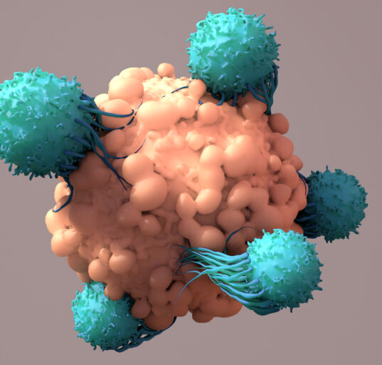 Chimeric antigen therapy