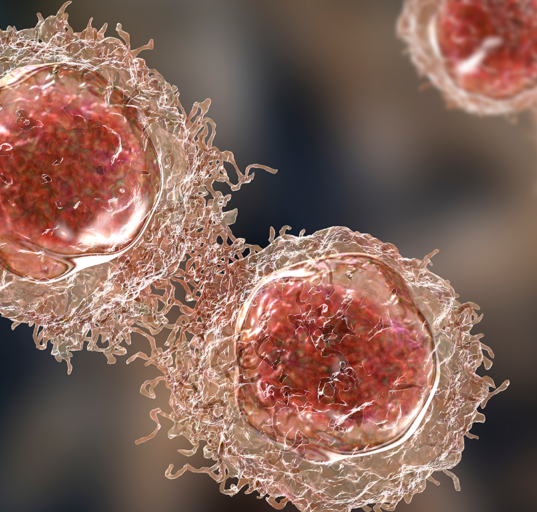 cancer cells