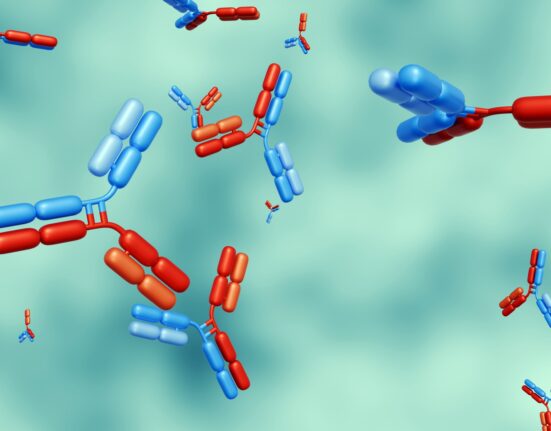 3d rendering of Bispecific antibodies or BsAbs have two distinct binding domains that can bind to two antigens or two epitopes of the same antigen simultaneously.