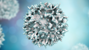 T cell or B cell
