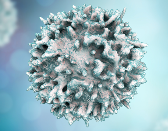 T cell or B cell