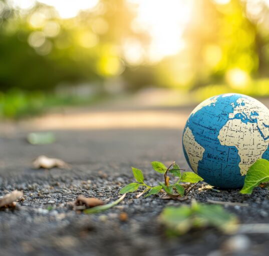 a globe