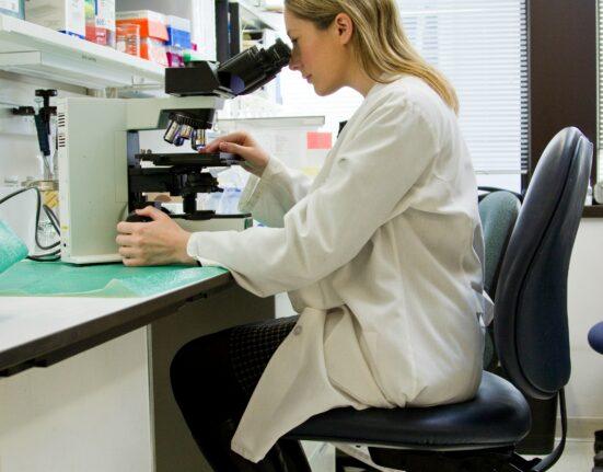 Doctor Inspecting Samples in Lab