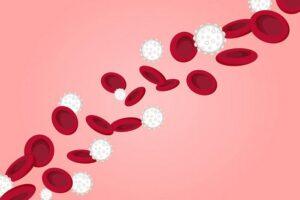 blood cells